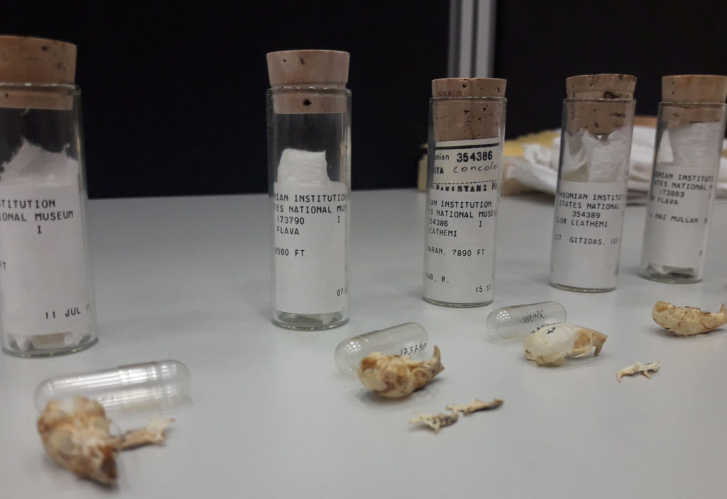 zeiss komputertomográfia