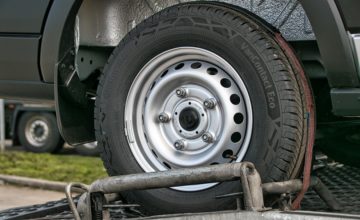 belga exportőrök szervizadatai